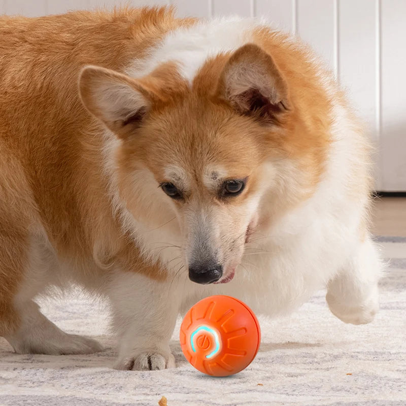 "Bolinha Interativa Automática para Cães - Brinquedo Inteligente com USB, que Salta e Gira! Perfeito para Filhotes e Cães Brincalhões!"