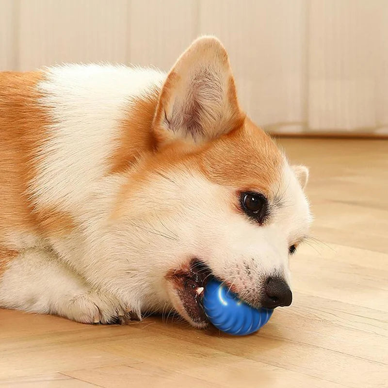 "Bolinha Interativa Automática para Cães - Brinquedo Inteligente com USB, que Salta e Gira! Perfeito para Filhotes e Cães Brincalhões!"